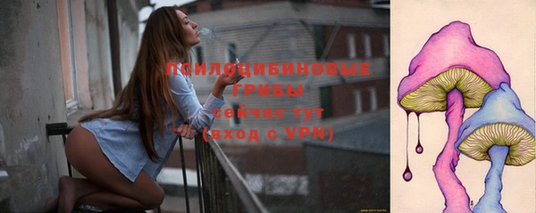 прущие крисы Каменка