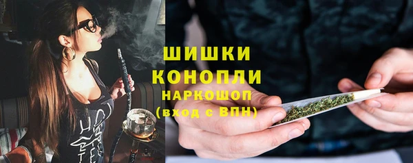 гидра Каменногорск