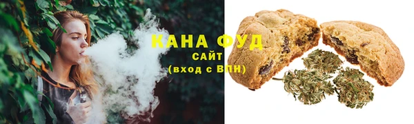 гидра Каменногорск