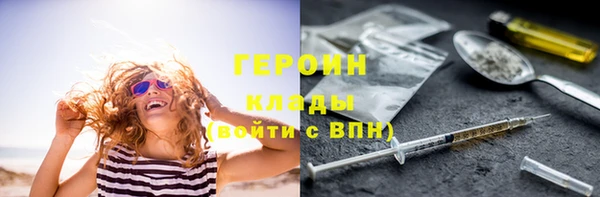 гидра Каменногорск