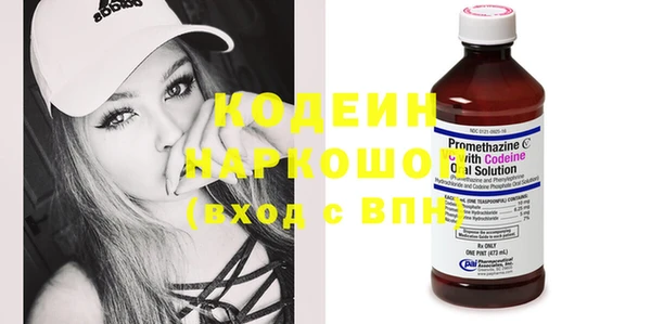 гидра Каменногорск
