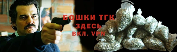 гидра Каменногорск
