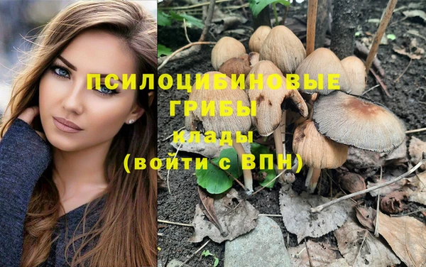 прущие крисы Каменка