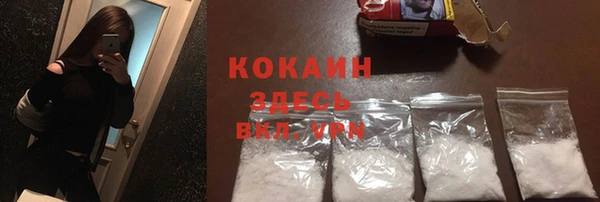 гидра Каменногорск