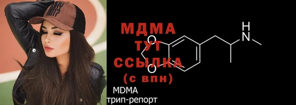 гидра Каменногорск