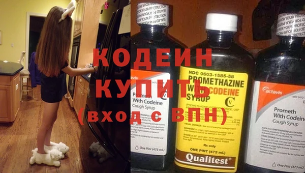 гидра Каменногорск