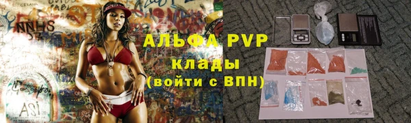 гидра Каменногорск