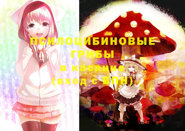 прущие крисы Каменка