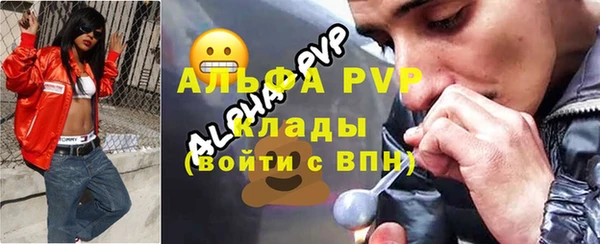 гидра Каменногорск