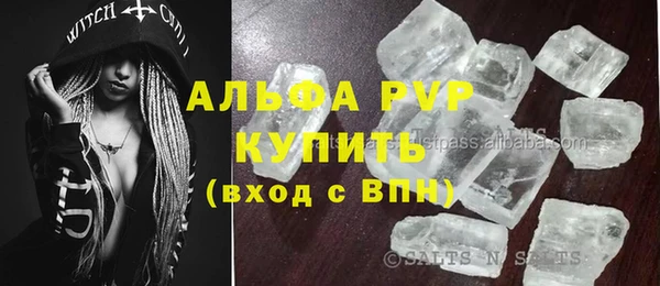 гидра Каменногорск