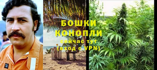 гидра Каменногорск