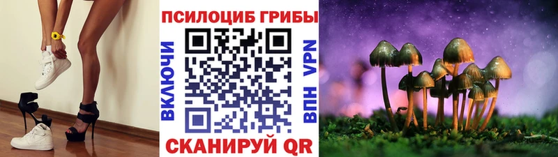 Псилоцибиновые грибы Magic Shrooms Краснообск
